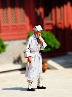 Tai Chi Master