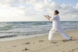 Wugong - 午功 - Training der Wu-Stunde
